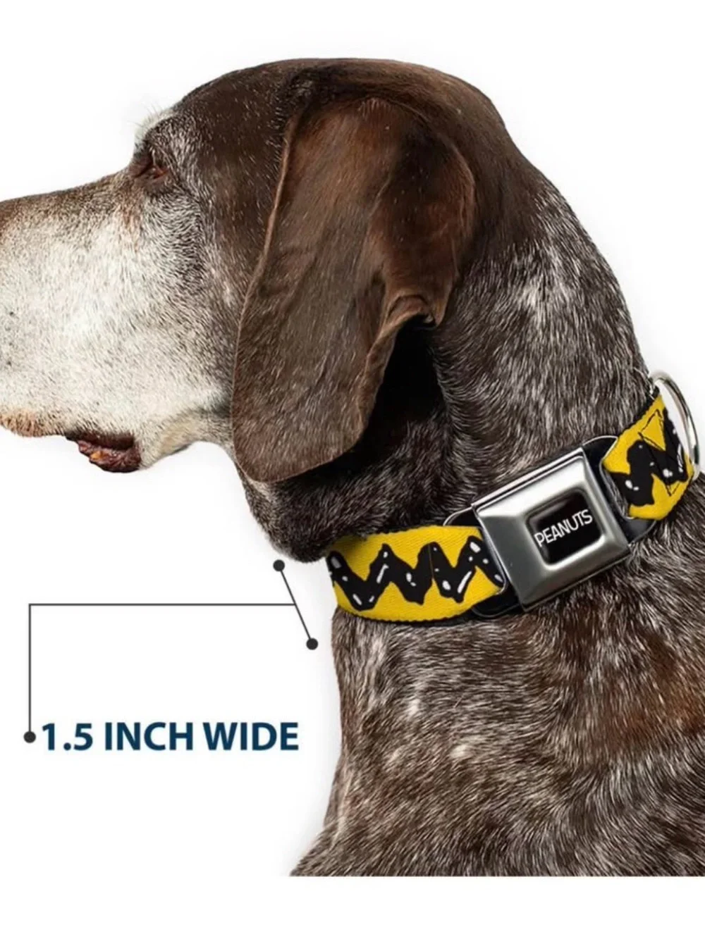 Peanuts Yellow Zigzag Pattern Dog Collar with Metal Buckle